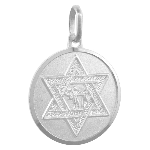 Picture of Sterling Silver Star of David Medal Necklace 3/4 inch Round Italy