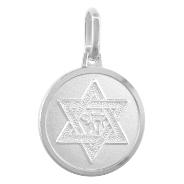 Picture of Dainty Sterling Silver Star of David Medal Necklace 5/8 inch Round Italy