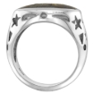 Picture of Sterling Silver Oval shaped Tigerwood Ring Ancient Wood Inlay & Teeny Star Cut Outs 9/16 inch wide sizes 6-10